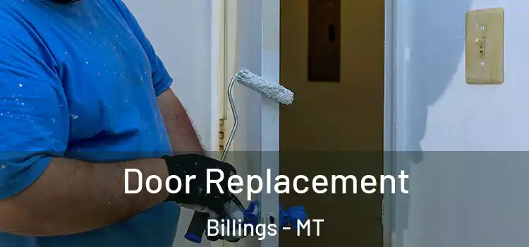  Door Replacement Billings - MT