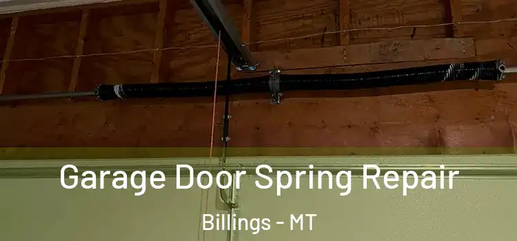  Garage Door Spring Repair Billings - MT