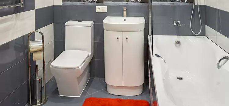 Hansgrohe Shaving Mirror Billings