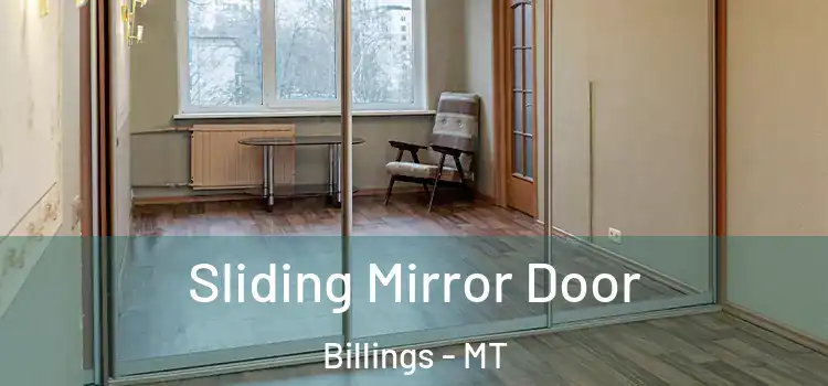  Sliding Mirror Door Billings - MT